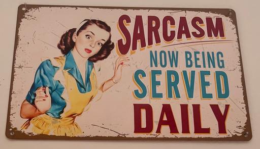  — Retro Metal Wall Art Sign, Sarcasm