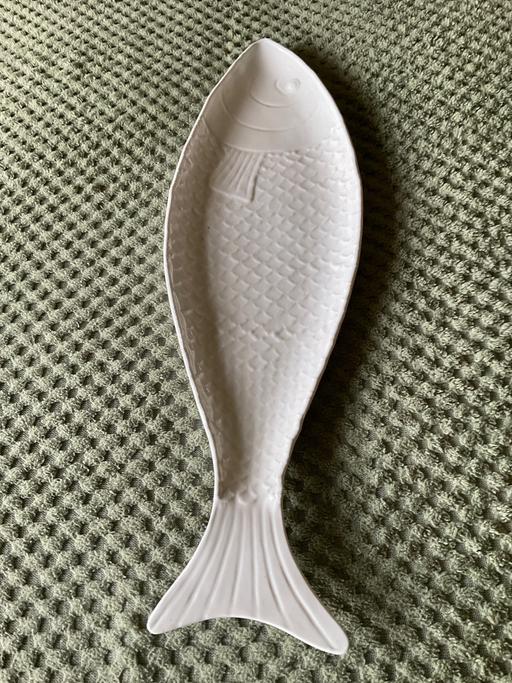  — fish tray