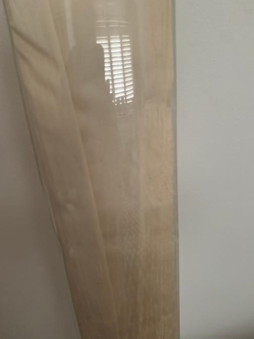  — Roman blind