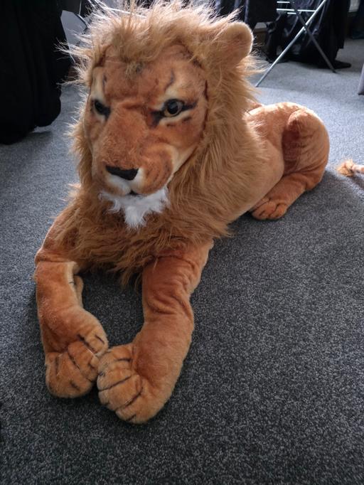  — large lion
