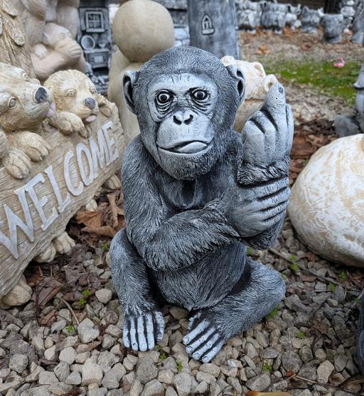  — Cheeky Monkey