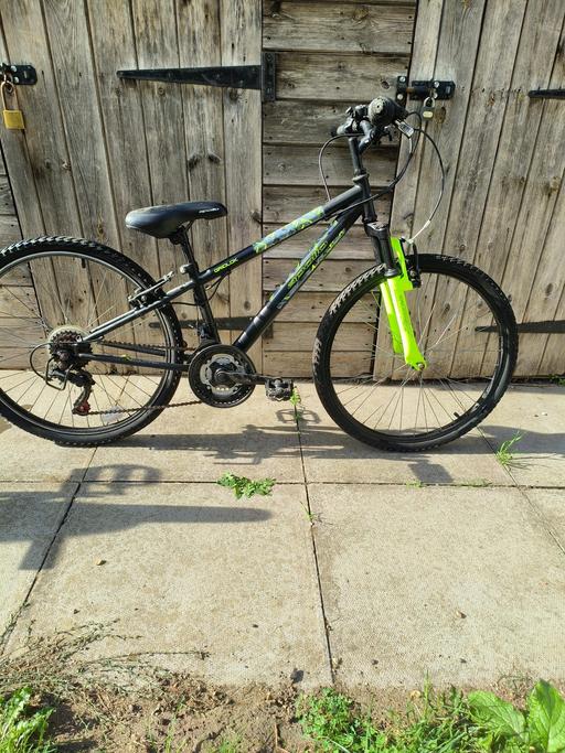  — kids mountain bike