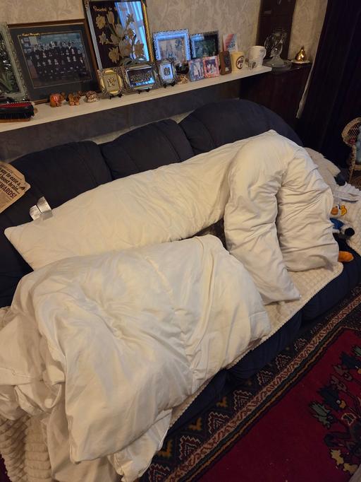  — Body Pillow, Neck Pillow and Double Duvet