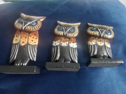  — owls