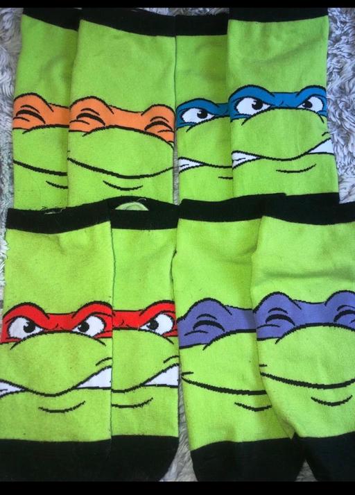  — Turtle socks