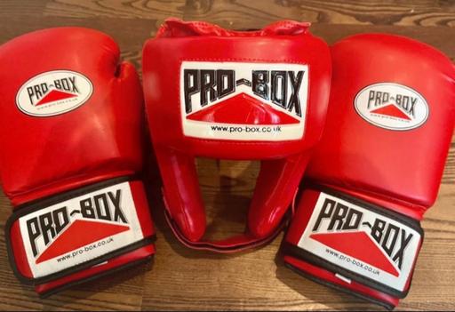  — Boxing head guard and gloves