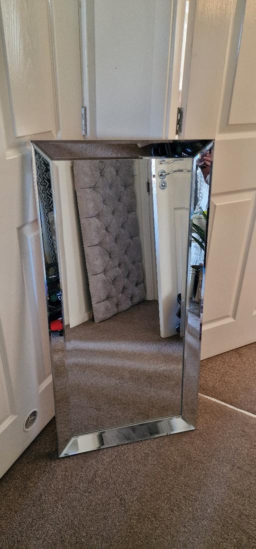  — mirror