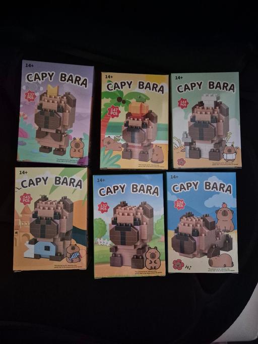  — new Capybara Construction Sets £1 EACH