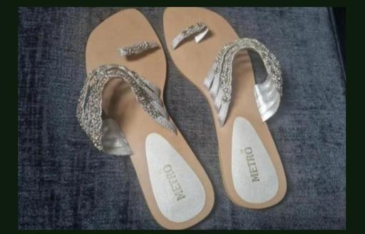  — Silver Slippers