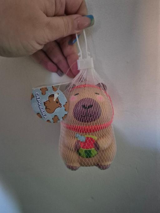  — new Slow Rising Capybara Squishy