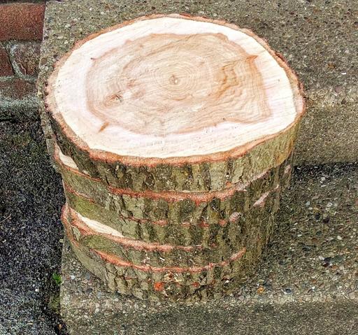  — Large log slices