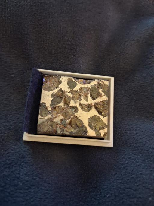  — pallasite meteorite