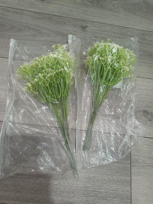  — FREE FLOWERS