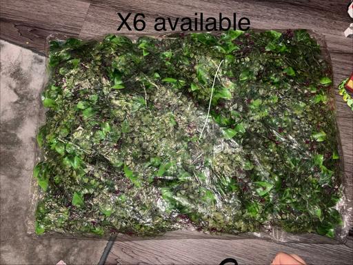  — Artificial wall plant panels