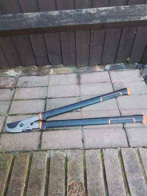  — Magnuson branch cutter