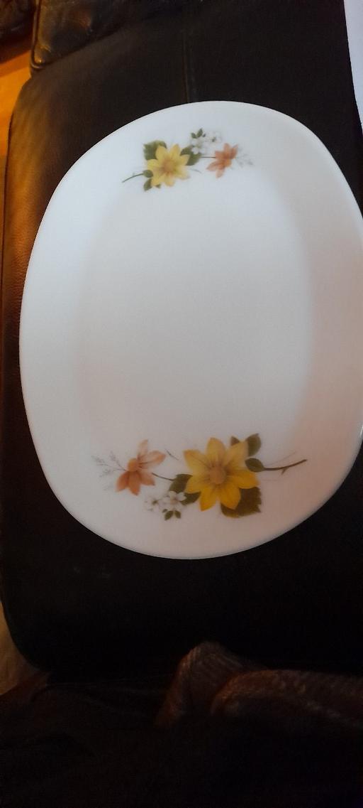  — 6 X 70s collectable steak plates