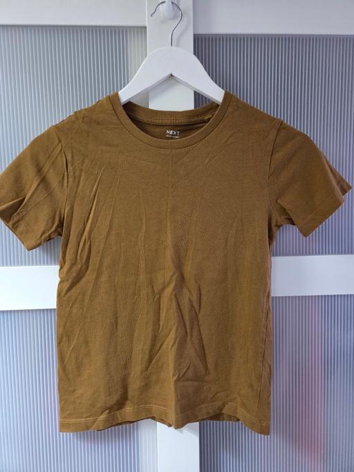  — Age 8 NEXT brown tshirt