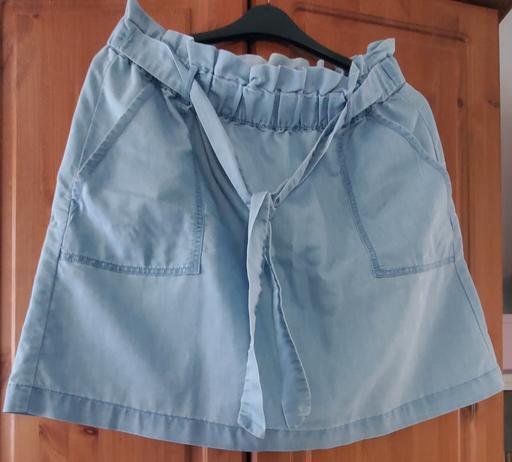  — ladies skirt