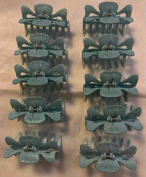  — 10 large claw clips