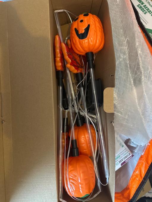  — New pumpkin stake lights