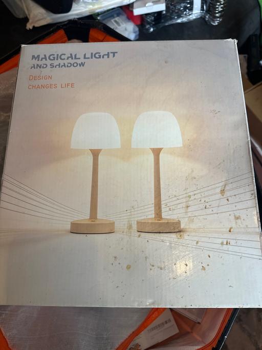  — Pair of new lamps